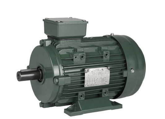 AE0008TEC MOTOR 10HP TRIFASIKO – Three-phase Motor 10HP